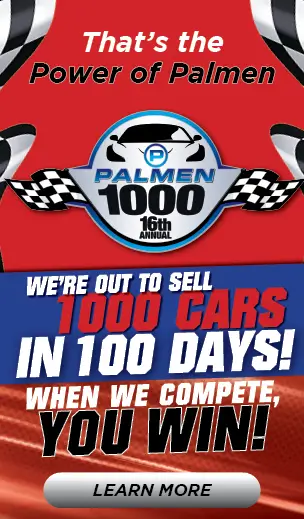 palmen 1000 cars in 100 days
